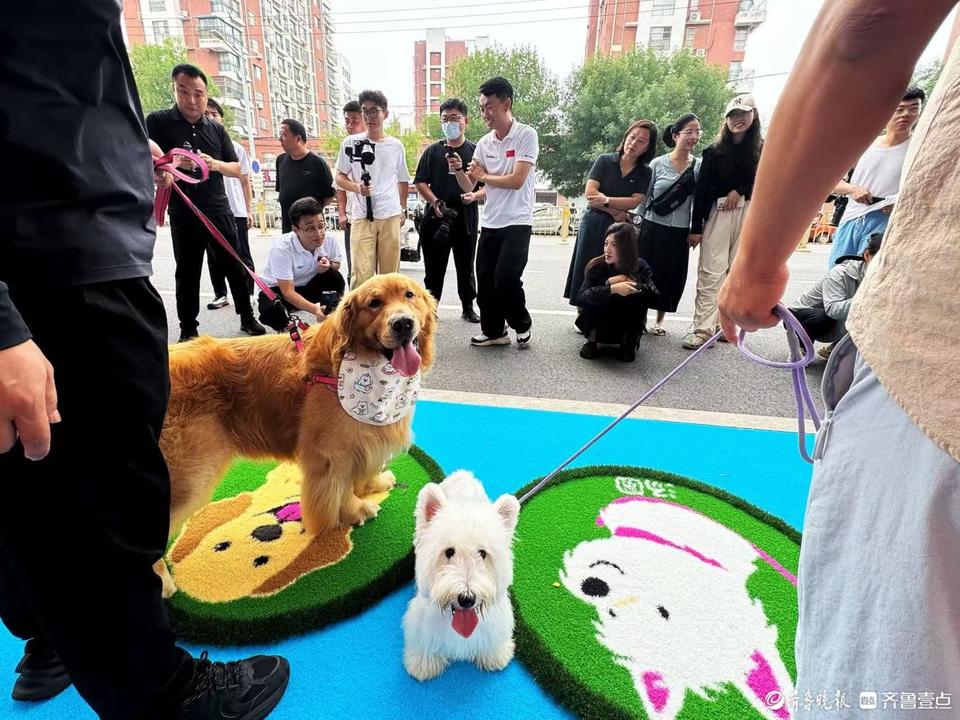 img, 一边说