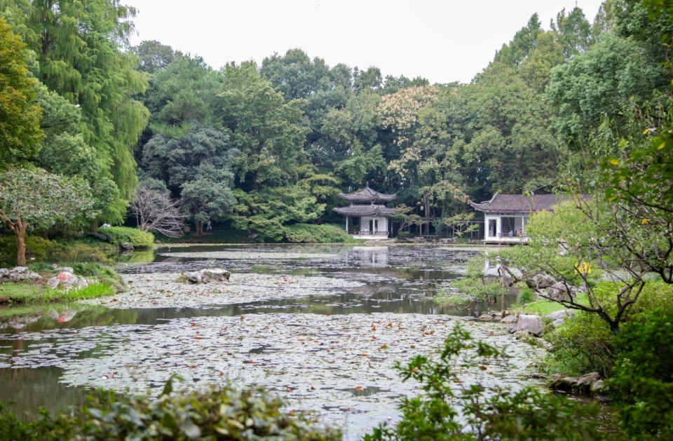 qFTC, 了解苏轼与