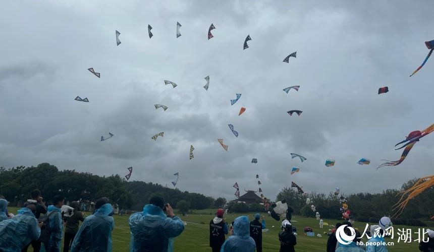 风筝文化行, msn 风筝文化行, msn