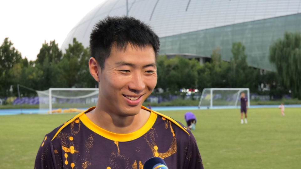 VicT, 季与伤病对